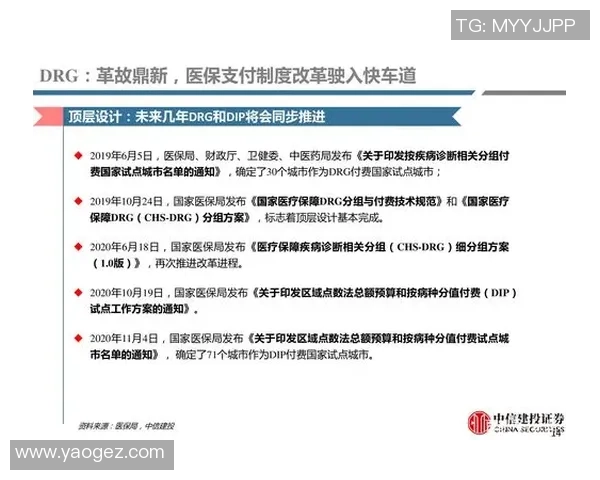 广州排球队的崛起与发展分析聚焦力量与团队协作的深度探讨