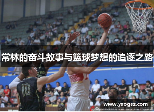 常林的奋斗故事与篮球梦想的追逐之路