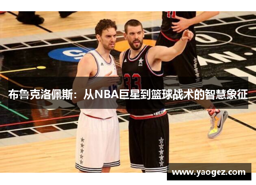 布鲁克洛佩斯：从NBA巨星到篮球战术的智慧象征