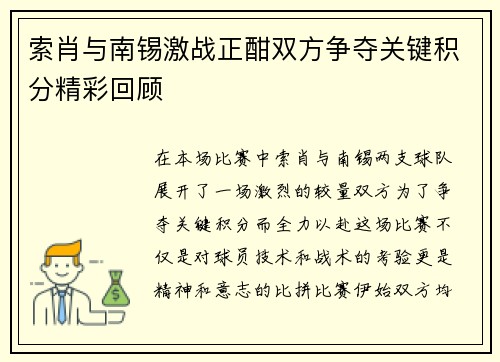索肖与南锡激战正酣双方争夺关键积分精彩回顾